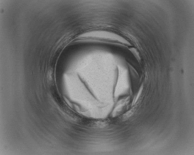 X0000073740166200608241331