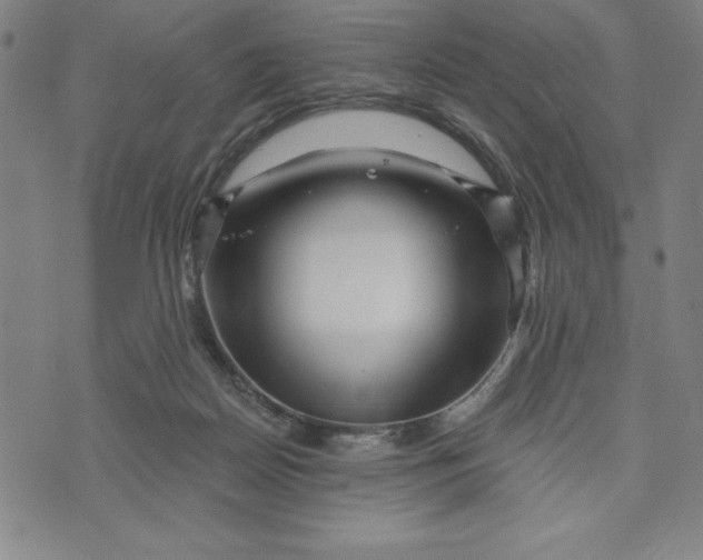 X0000073740170200608241331