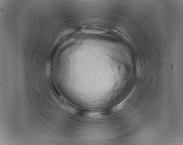 X0000073740171200608241331