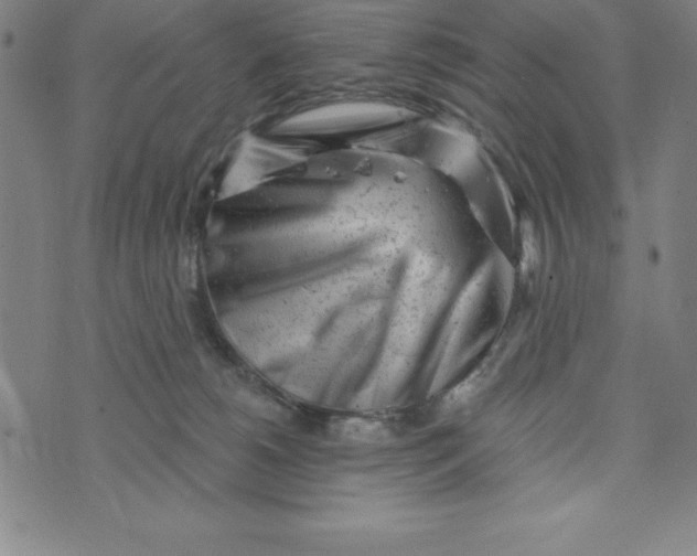 X0000073740180200608241331