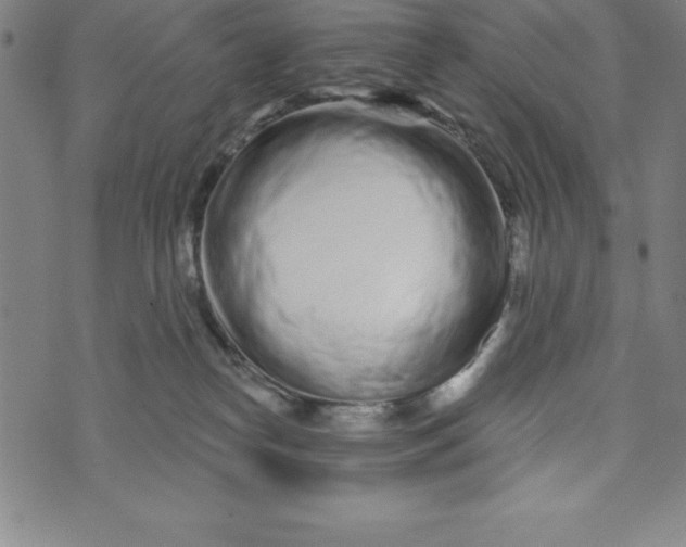X0000073740182200608241331