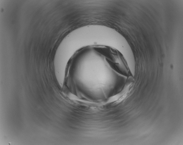 X0000073740188200608241331