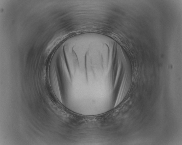 X0000073740194200608241330