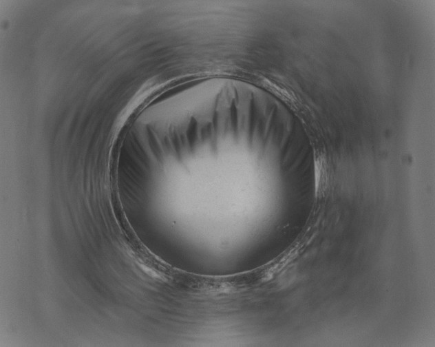 X0000073740195200608241330