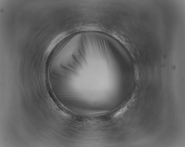 X0000073740199200608241330