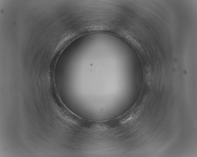 X0000073740207200608241330