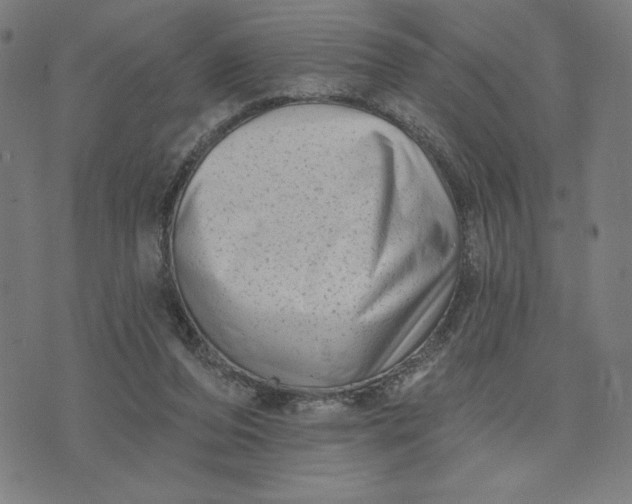 X0000073740208200608241330