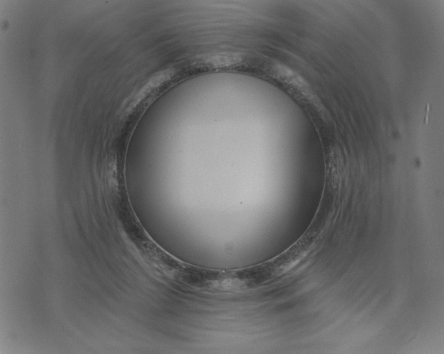X0000073740212200608241330