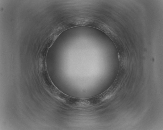 X0000073740215200608241330