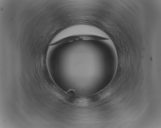 X0000073740219200608241330
