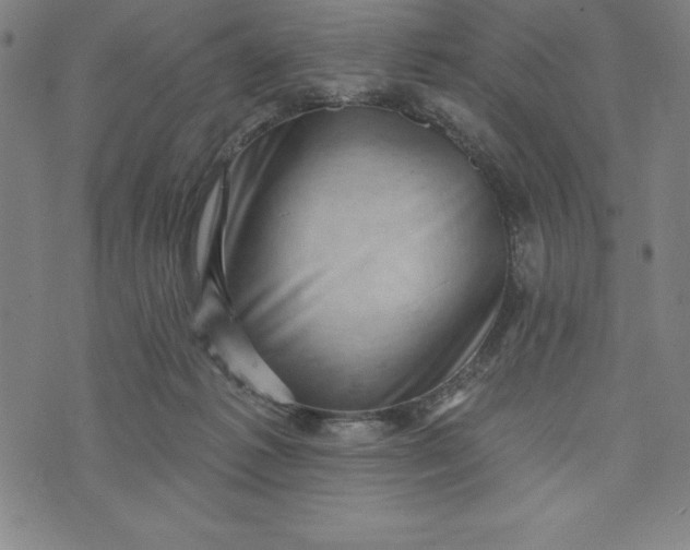 X0000073740221200608241330