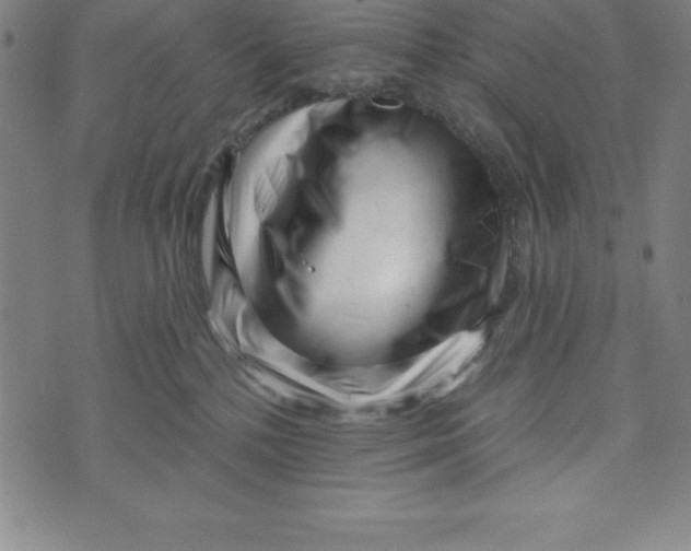 X0000073740232200608241330