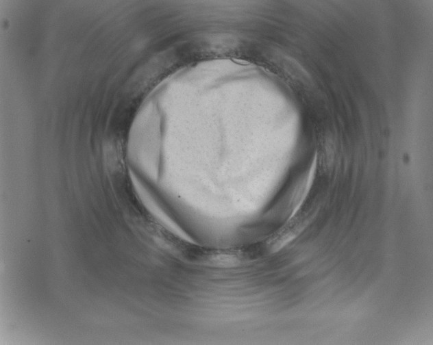 X0000073740236200608241330