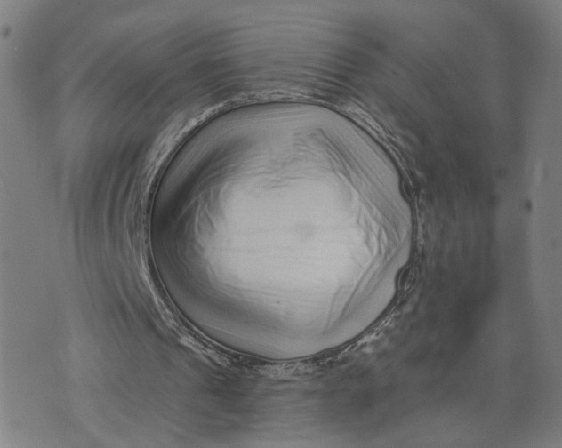 X0000073740241200608241329