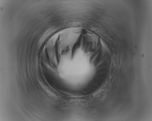 X0000073740242200608241329