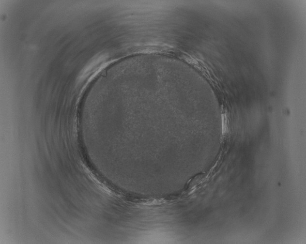 X0000073740243200608241329