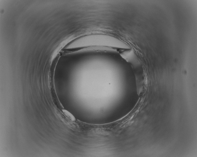 X0000073740244200608241329