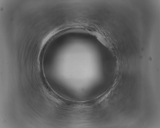 X0000073740246200608241329