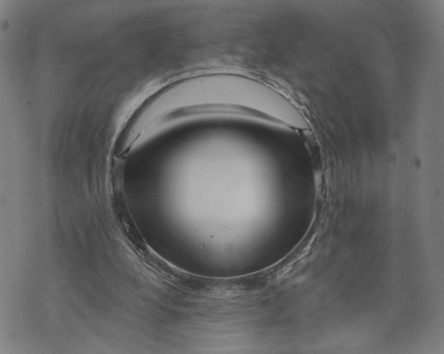 X0000073740248200608241329