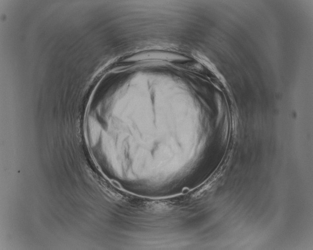 X0000073740249200608241329