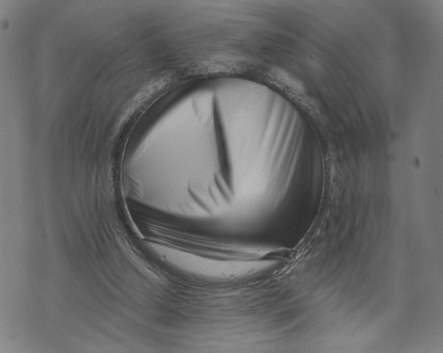 X0000073740250200608241329