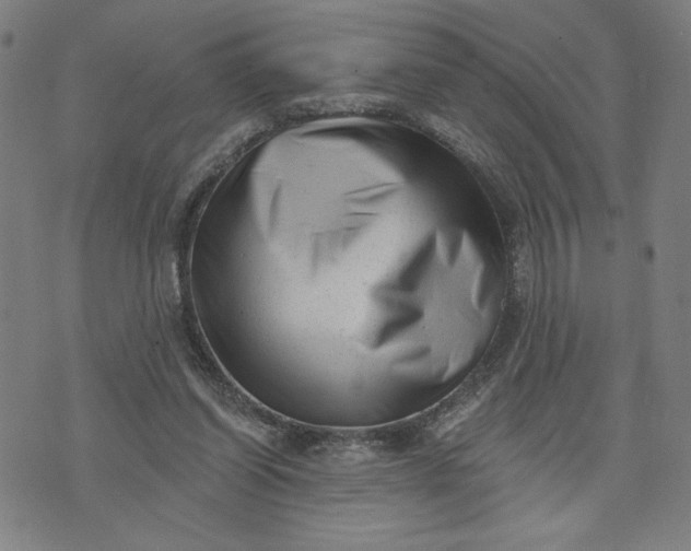 X0000073740254200608241329