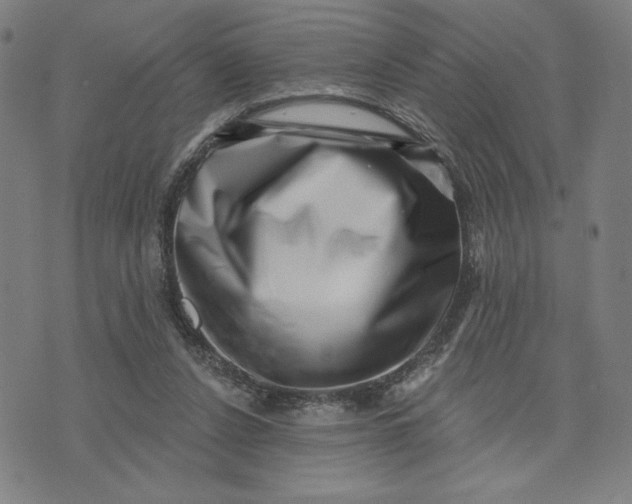 X0000073740256200608241329