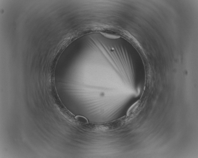 X0000073740257200608241329