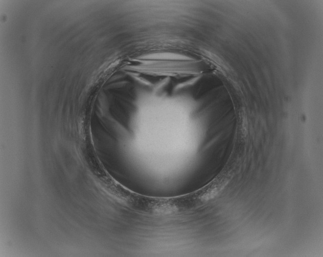 X0000073740258200608241329