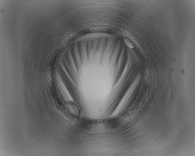 X0000073740259200608241329