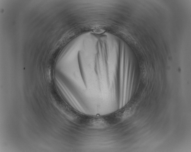 X0000073740262200608241329