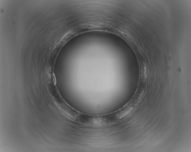 X0000073740264200608241329