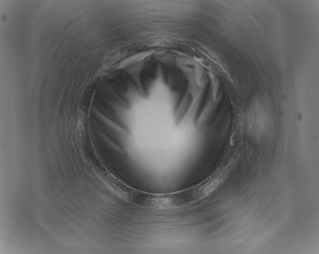 X0000073740265200608241329
