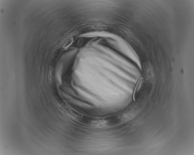 X0000073740266200608241329