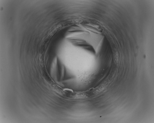 X0000073740270200608241329