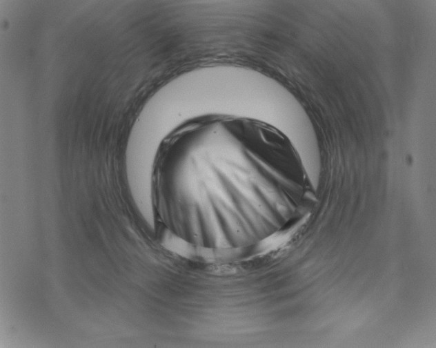 X0000073740272200608241329