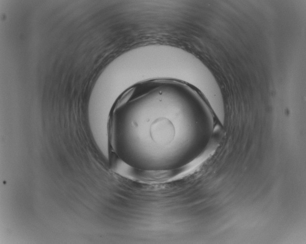 X0000073740276200608241329