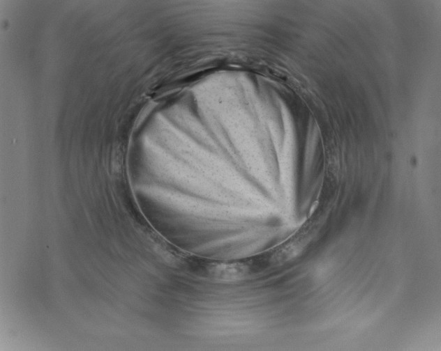 X0000073740277200608241329