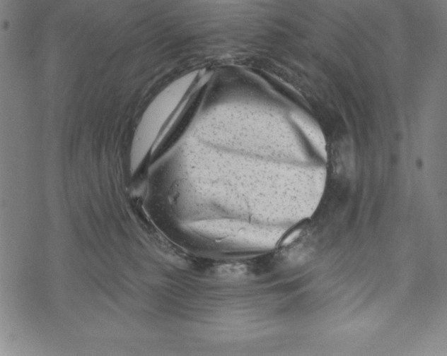 X0000073740279200608241329