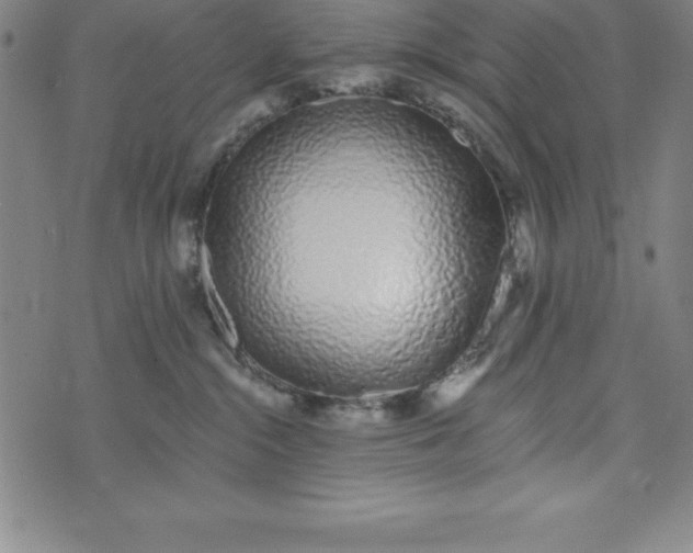 X0000073740284200608241330