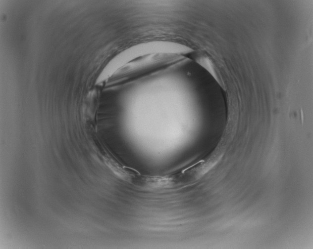 X0000073740288200608241330