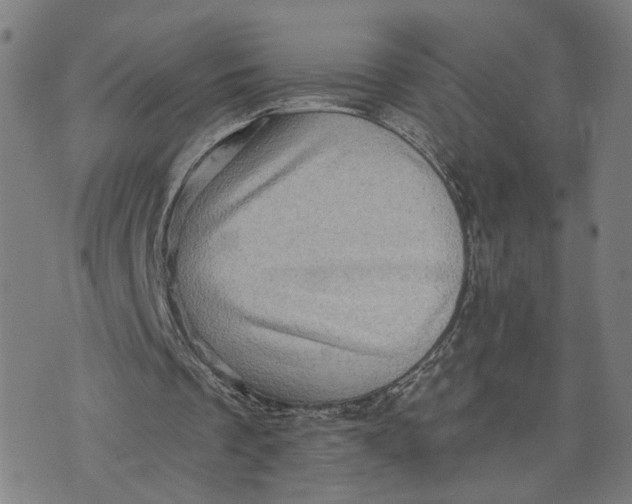X0000073740289200608241329