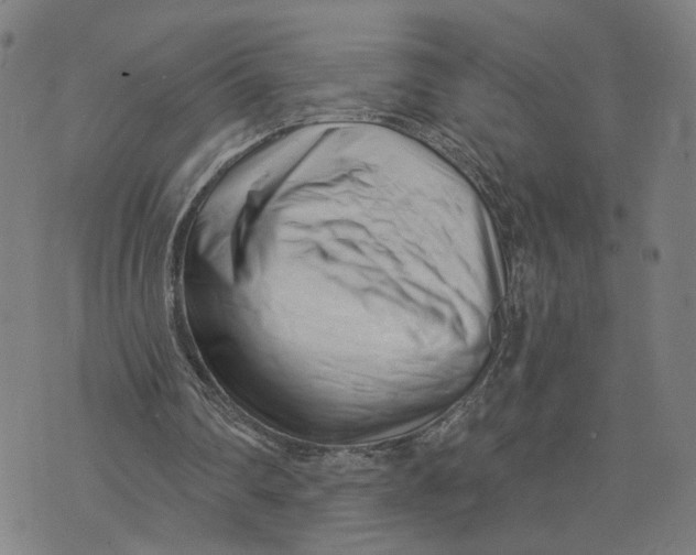 X0000073740290200608241329