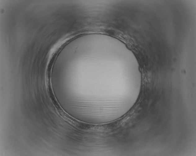 X0000073740294200608241329