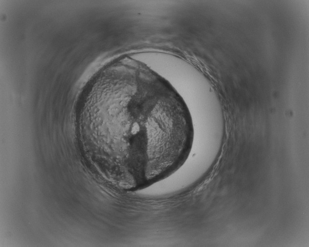 X0000073740295200608241329