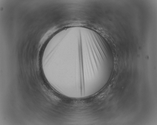 X0000073740296200608241329