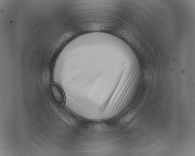 X0000073740304200608241329