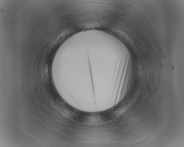X0000073740308200608241329