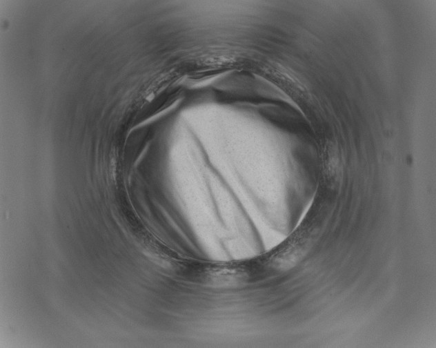 X0000073740315200608241328