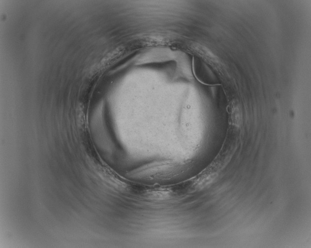 X0000073740318200608241328